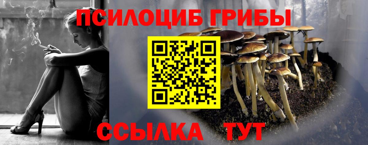 Псилоцибиновые грибы мухоморы Урай